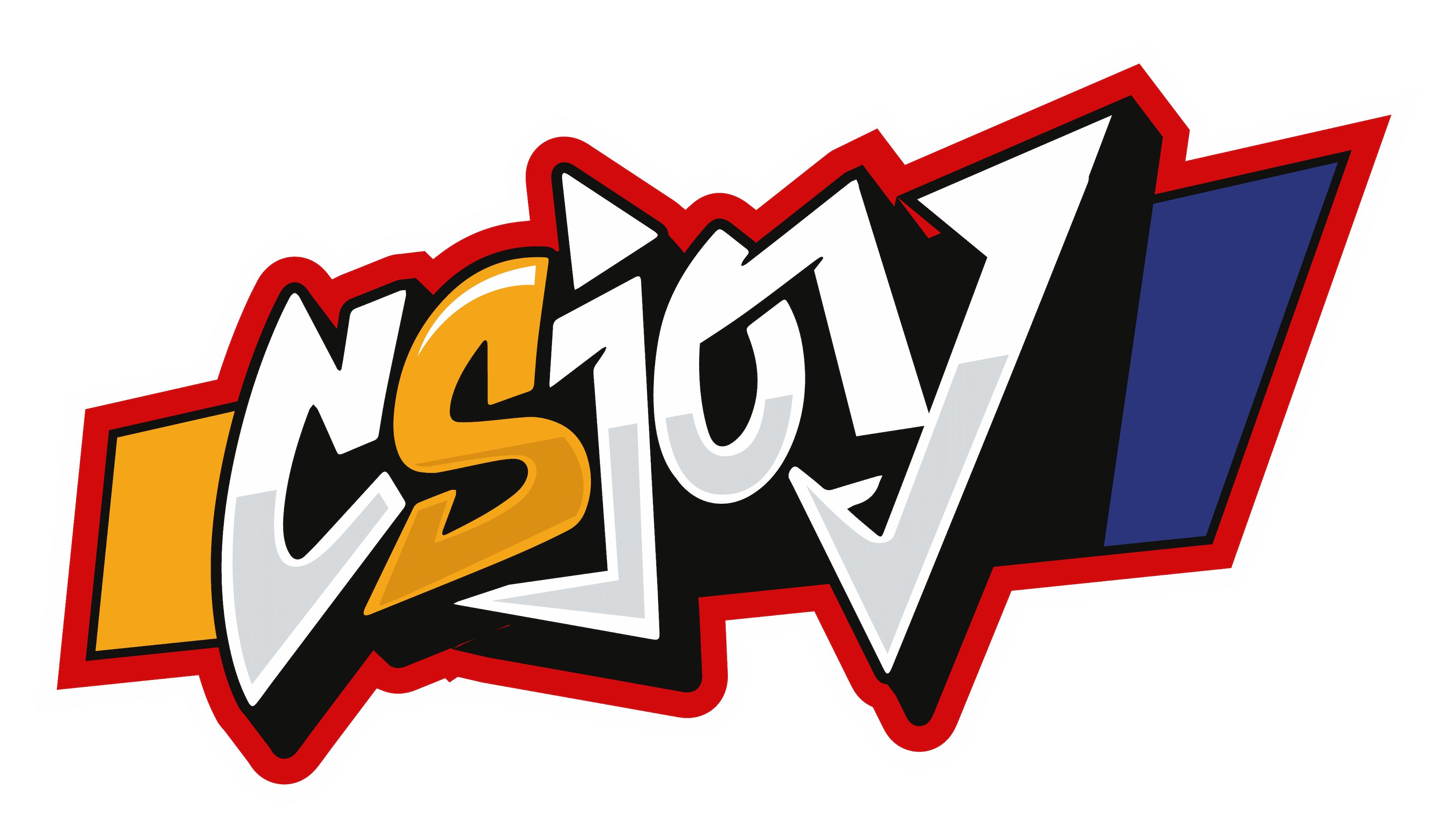 CSJOYER